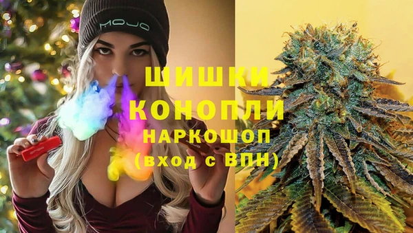 твердый Абаза