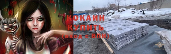 таблы Новозыбков