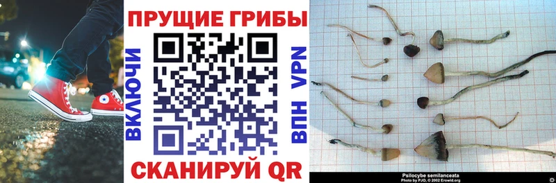 Галлюциногенные грибы мухоморы  MEGA как зайти  Нестеровская 